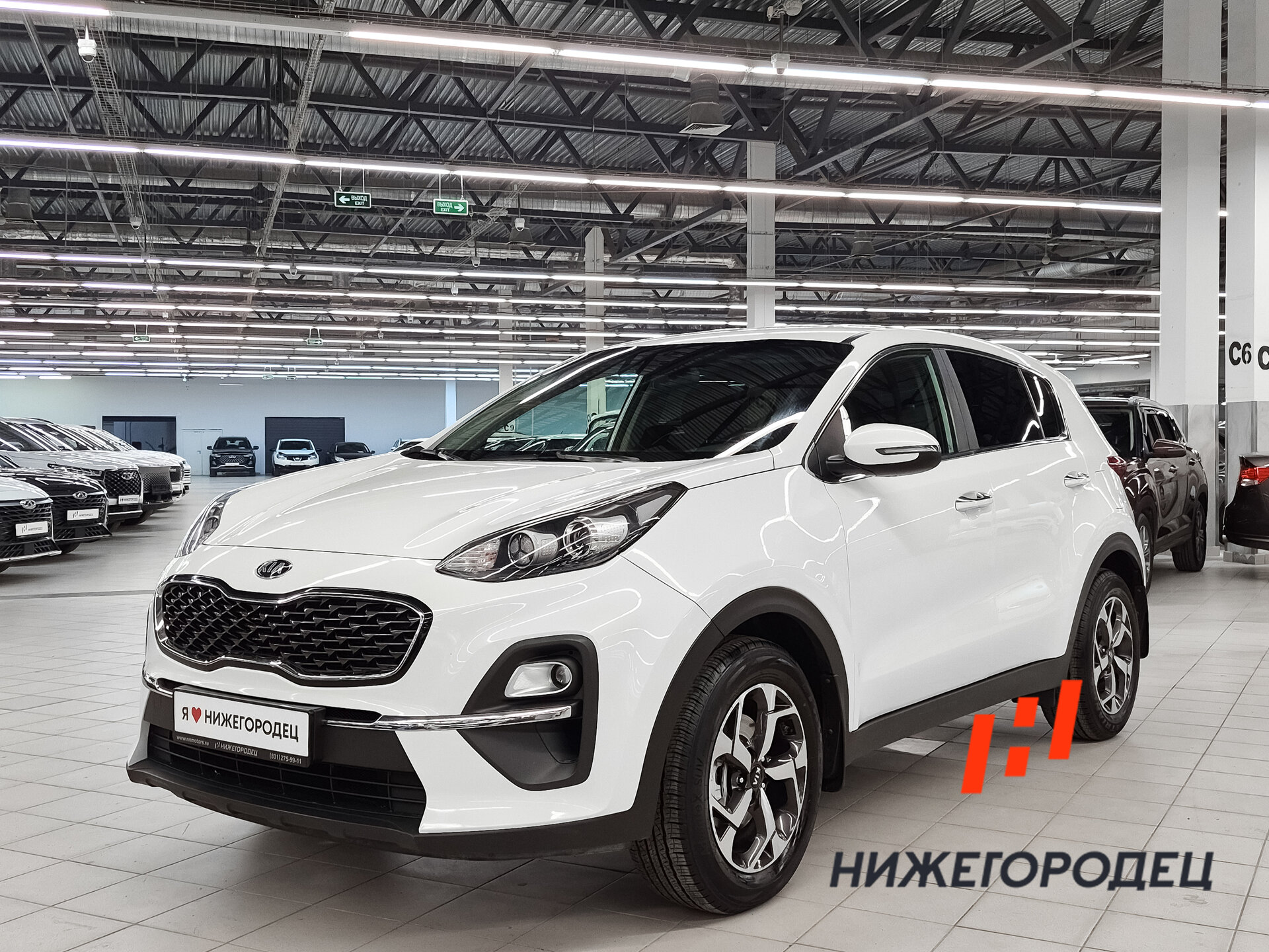 Kia Sportage 2.0 AT (150 л.с.), 2021 — купить в Нижнем Новгороде